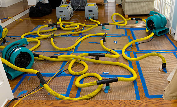 Professional Structural Drying And Dehumidification technician working in West Greenwich, RI